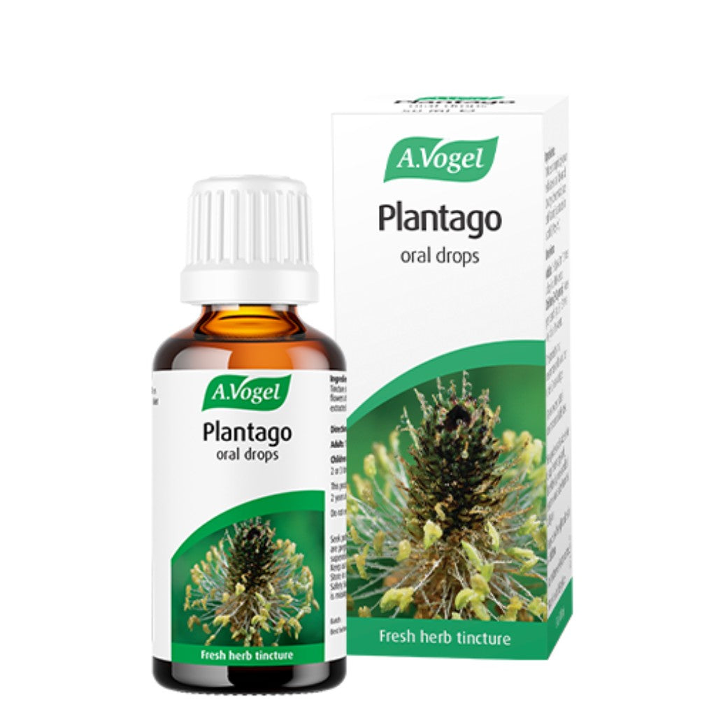 A Vogel Plantago lanceolata (drops 50ml)